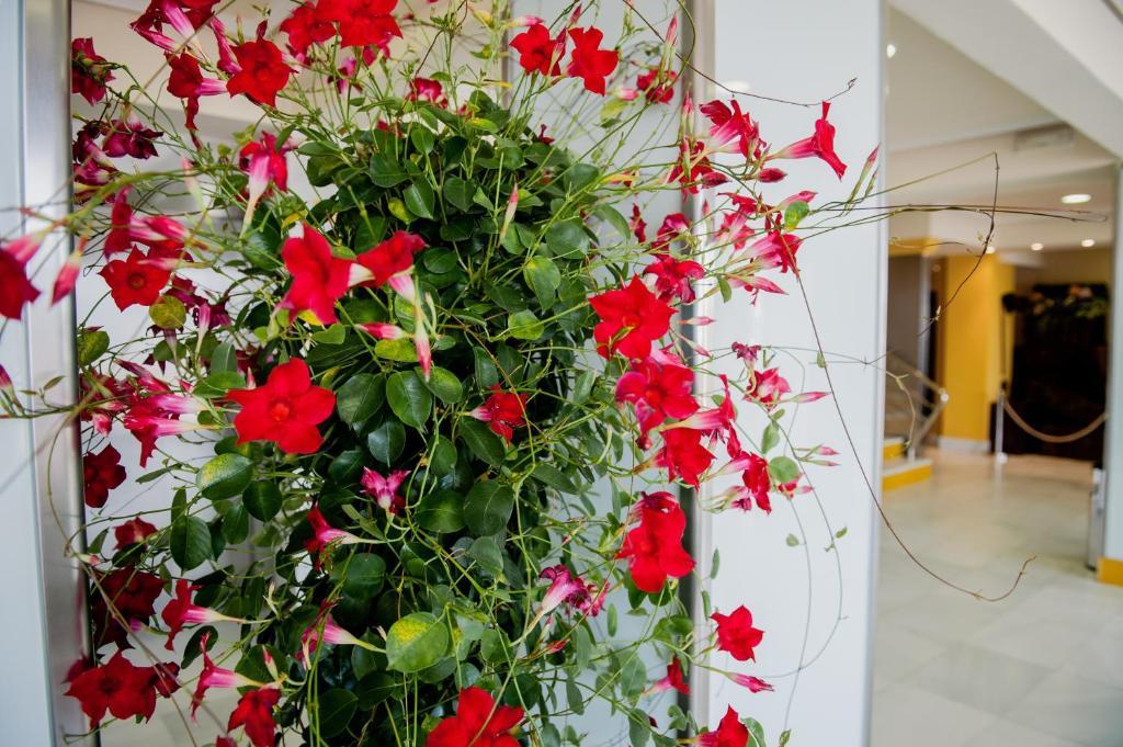 Hotel Las Dunas Noja Dış mekan fotoğraf